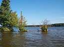 Jezioro Jeziorak - nasz-czarter.pl, czarter jachtów.